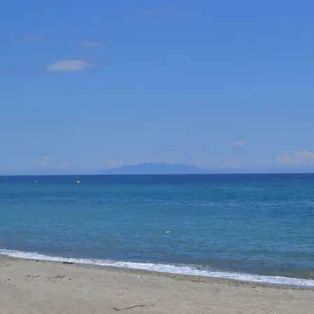 Albertini Santa-Lucia-di-Moriani
